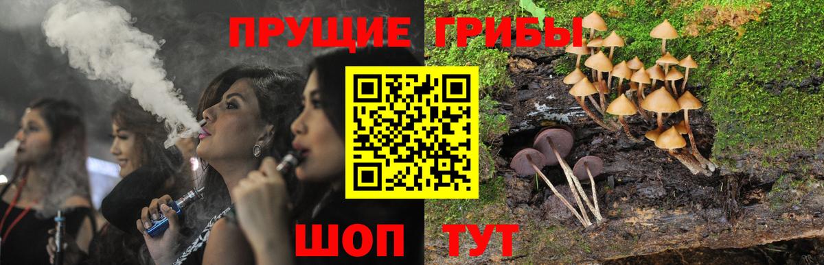 Костомукша  Псилоцибиновые грибы Cubensis  Вход с VPN  Псилоцибиновые грибы Psilocybe 