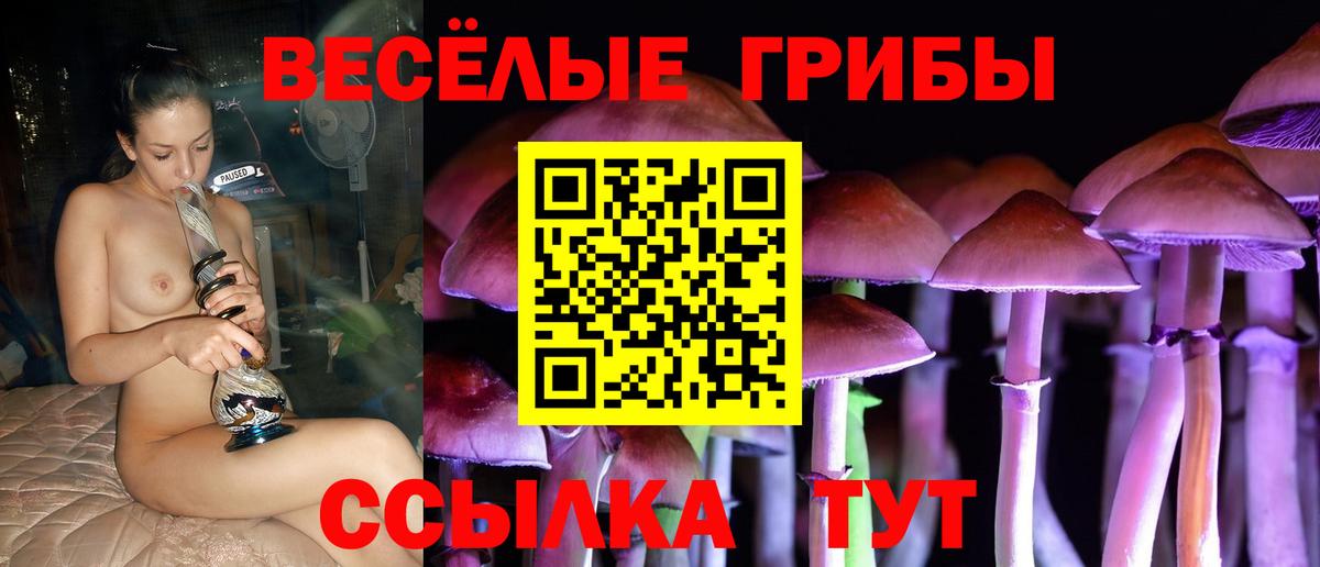 Галлюциногенные грибы мухоморы Костомукша